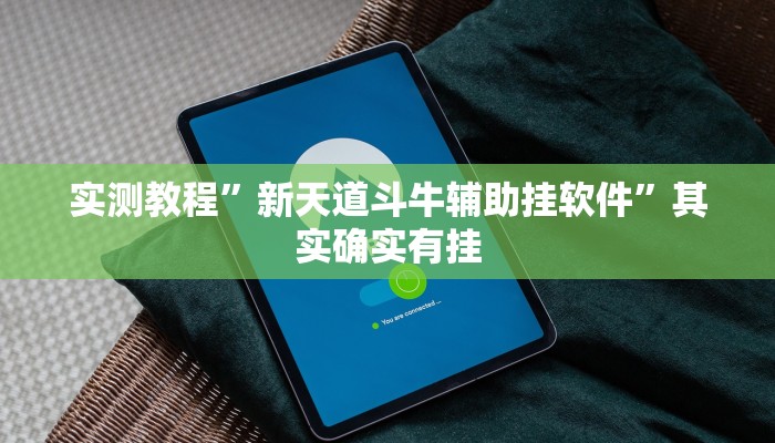 实测教程”新天道斗牛辅助挂软件”其实确实有挂
