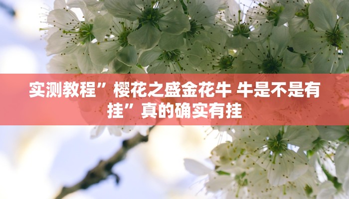 实测教程”樱花之盛金花牛 牛是不是有挂”真的确实有挂