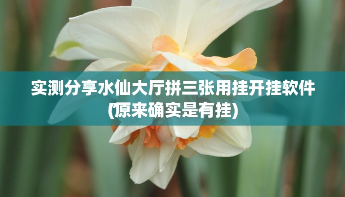 实测分享水仙大厅拼三张用挂开挂软件”
(原来确实是有挂)