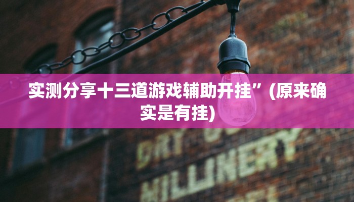 实测分享十三道游戏辅助开挂”(原来确实是有挂)