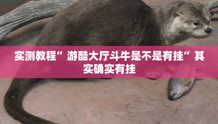 实测教程”游酷大厅斗牛是不是有挂”其实确实有挂
