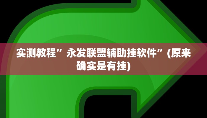 实测教程”永发联盟辅助挂软件”(原来确实是有挂)