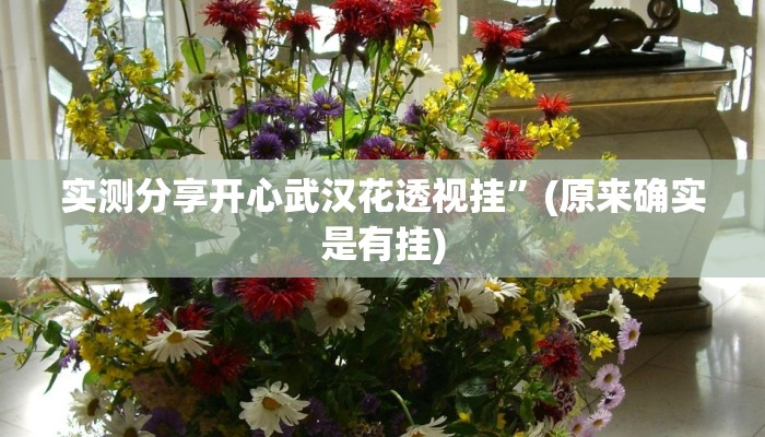 实测分享开心武汉花透视挂”(原来确实是有挂)