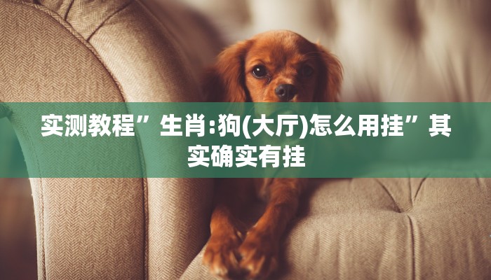 实测教程”生肖:狗(大厅)怎么用挂”其实确实有挂
