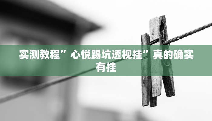 实测教程”心悦踢坑透视挂”真的确实有挂