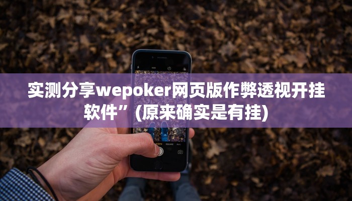 实测分享wepoker网页版作弊透视开挂软件”(原来确实是有挂)