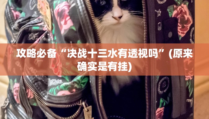 攻略必备“决战十三水有透视吗”(原来确实是有挂)