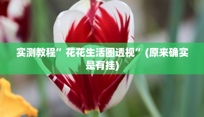 实测教程”花花生活圈透视”(原来确实是有挂)