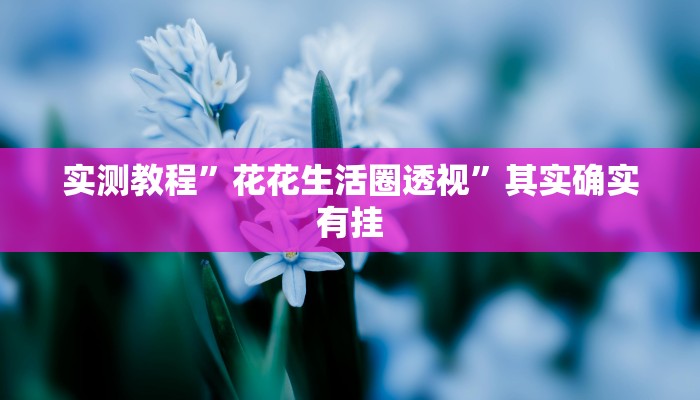 实测教程”花花生活圈透视”其实确实有挂
