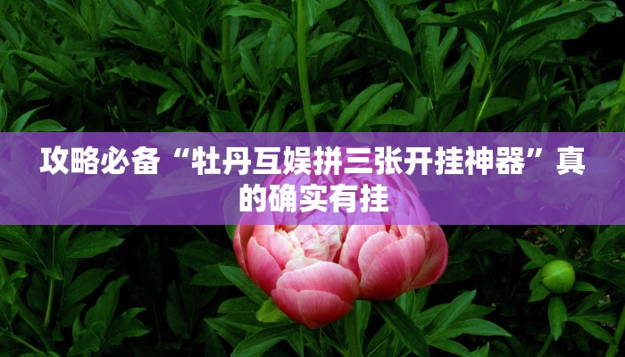 攻略必备“牡丹互娱拼三张开挂神器”真的确实有挂