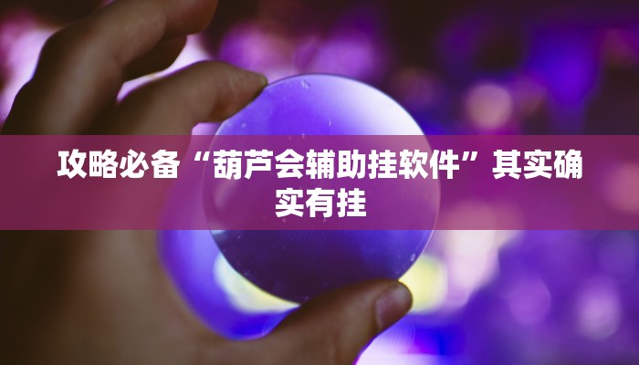 攻略必备“葫芦会辅助挂软件”其实确实有挂

