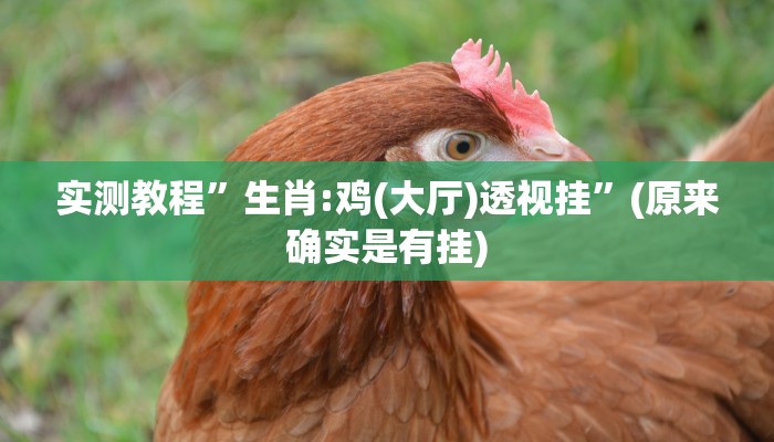 实测教程”生肖:鸡(大厅)透视挂”(原来确实是有挂)