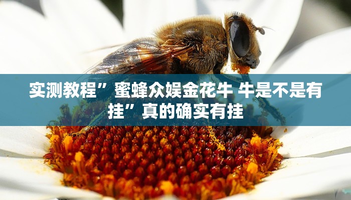 实测教程”蜜蜂众娱金花牛 牛是不是有挂”真的确实有挂