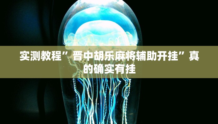 实测教程”晋中胡乐麻将辅助开挂”真的确实有挂