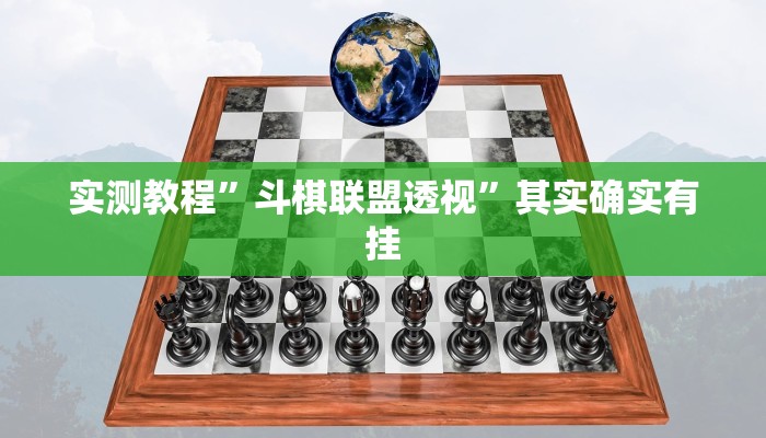 实测教程”斗棋联盟透视”其实确实有挂
