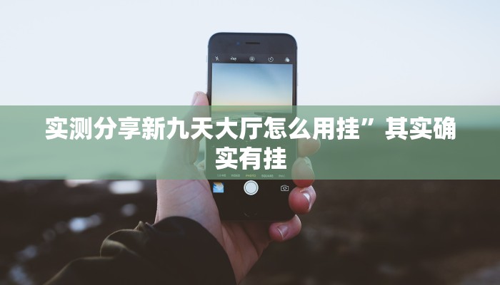 实测分享新九天大厅怎么用挂”其实确实有挂
