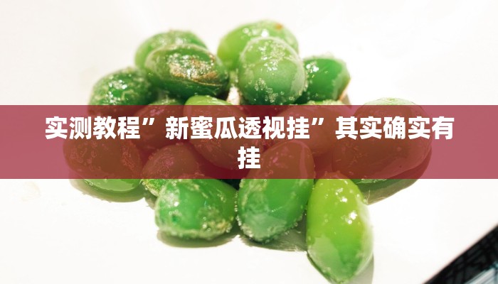 实测教程”新蜜瓜透视挂”其实确实有挂
