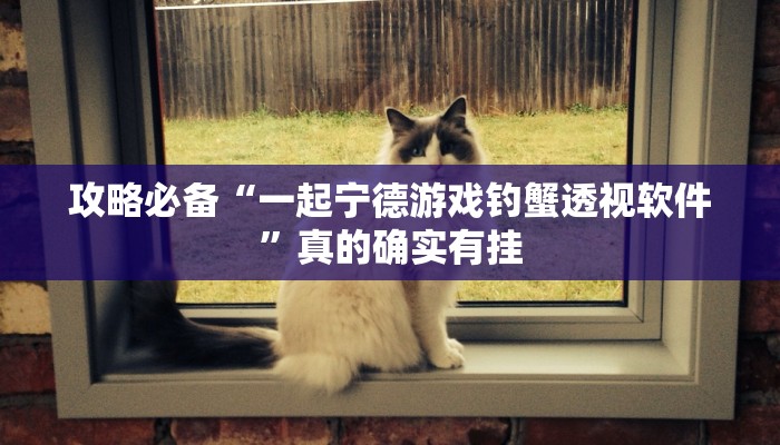 攻略必备“一起宁德游戏钓蟹透视软件”真的确实有挂