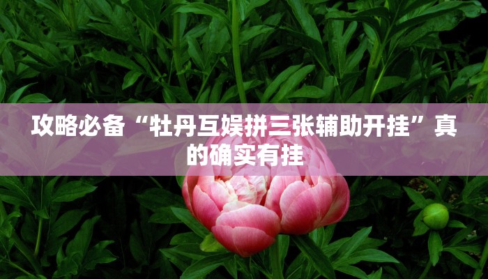 攻略必备“牡丹互娱拼三张辅助开挂”真的确实有挂