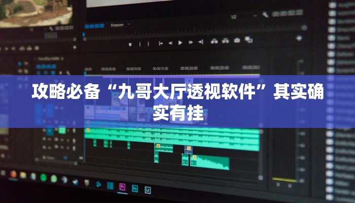 攻略必备“九哥大厅透视软件”其实确实有挂
