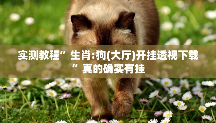 实测教程”生肖:狗(大厅)开挂透视下载”真的确实有挂