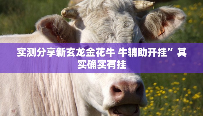 实测分享新玄龙金花牛 牛辅助开挂”其实确实有挂
