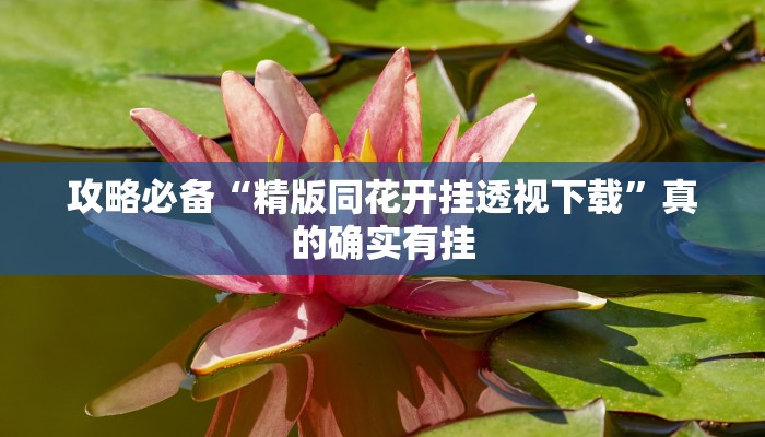 攻略必备“精版同花开挂透视下载”真的确实有挂