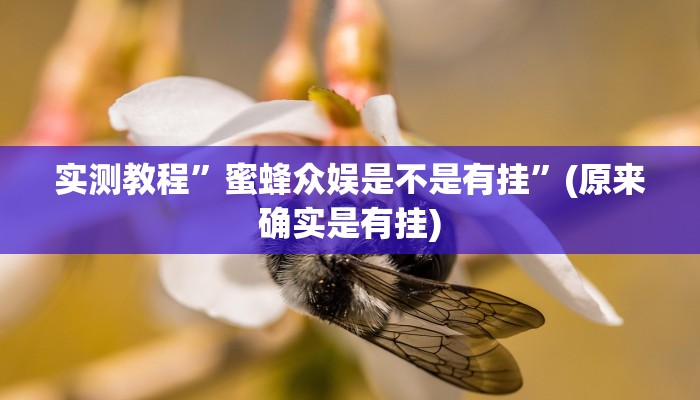 实测教程”蜜蜂众娱是不是有挂”(原来确实是有挂)