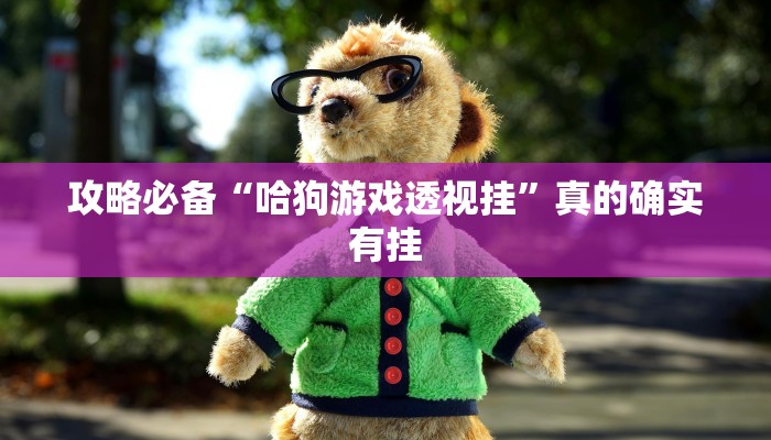 攻略必备“哈狗游戏透视挂”真的确实有挂