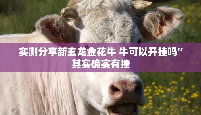 实测分享新玄龙金花牛 牛可以开挂吗”其实确实有挂
