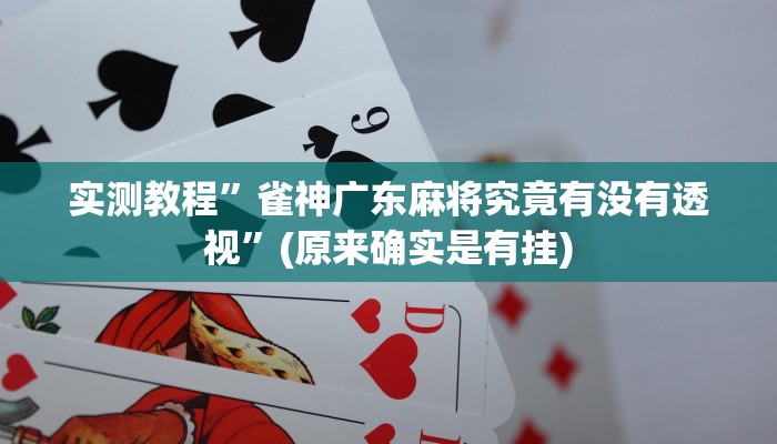 实测教程”雀神广东麻将究竟有没有透视”(原来确实是有挂)