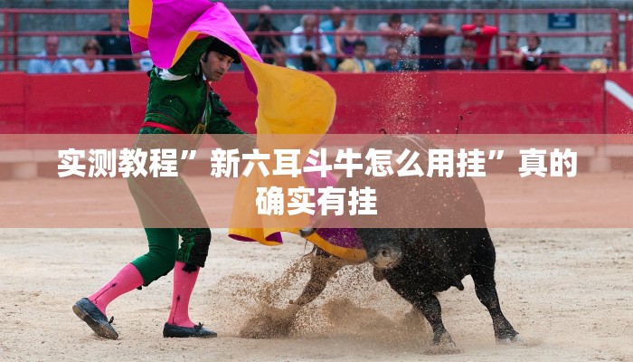 实测教程”新六耳斗牛怎么用挂”真的确实有挂