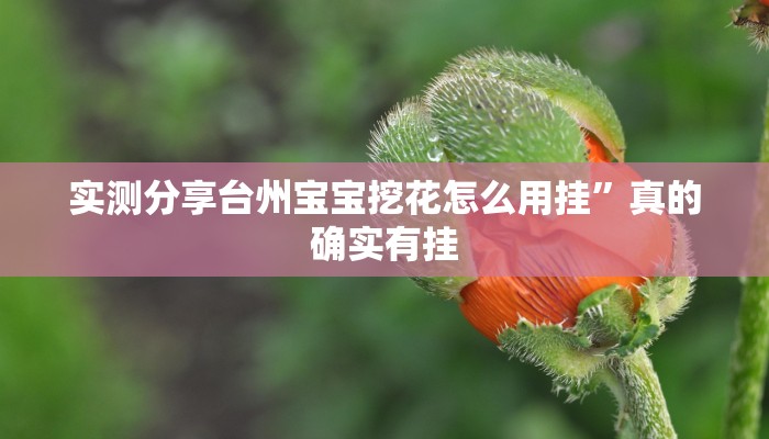 实测分享台州宝宝挖花怎么用挂”真的确实有挂