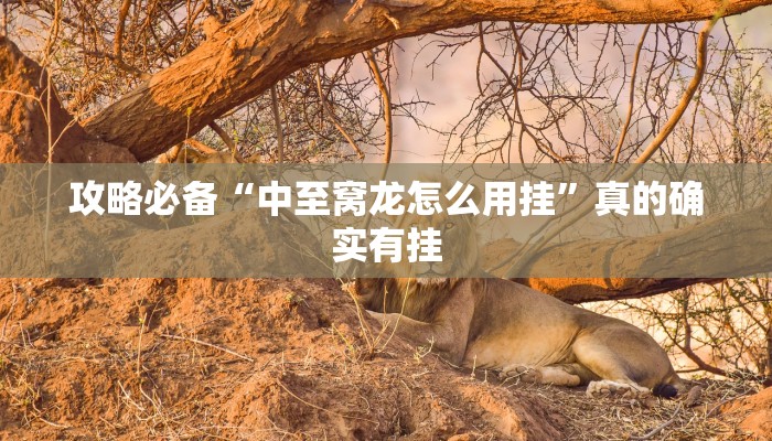 攻略必备“中至窝龙怎么用挂”真的确实有挂