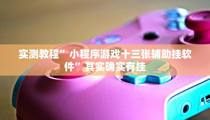 实测教程”小程序游戏十三张辅助挂软件”其实确实有挂
