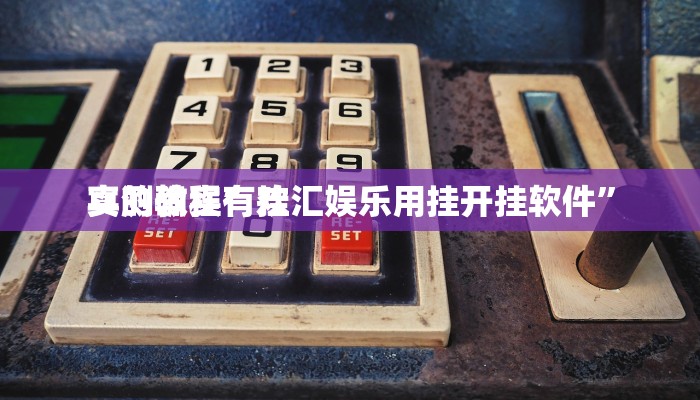 实测教程”欢汇娱乐用挂开挂软件”
真的确实有挂