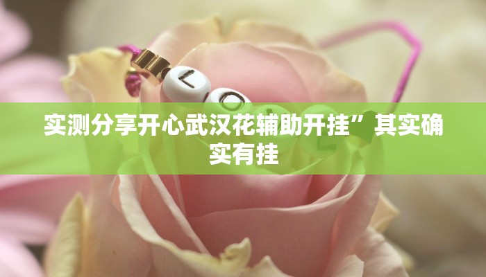 实测分享开心武汉花辅助开挂”其实确实有挂
