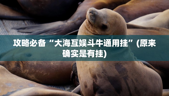 攻略必备“大海互娱斗牛通用挂”(原来确实是有挂)