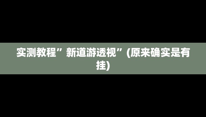 实测教程”新道游透视”(原来确实是有挂)