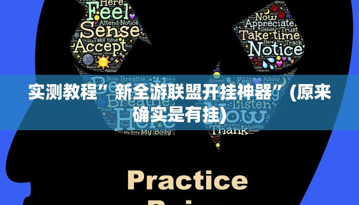 实测教程”新全游联盟开挂神器”(原来确实是有挂)