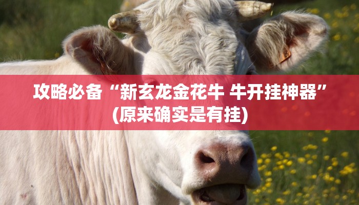 攻略必备“新玄龙金花牛 牛开挂神器”(原来确实是有挂)