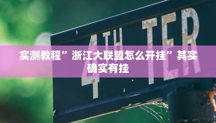 实测教程”浙江大联盟怎么开挂”其实确实有挂
