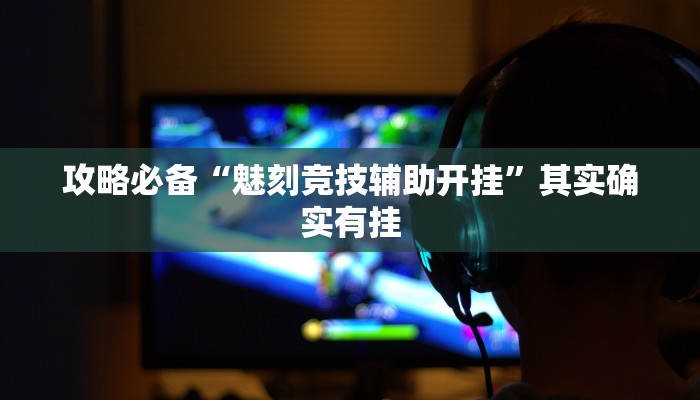 攻略必备“魅刻竞技辅助开挂”其实确实有挂
