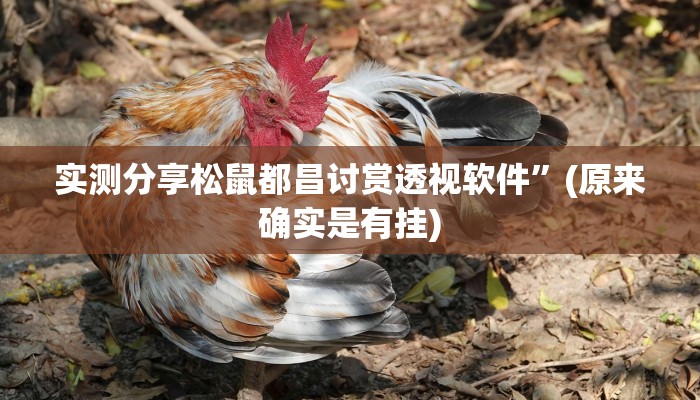 实测分享松鼠都昌讨赏透视软件”(原来确实是有挂)