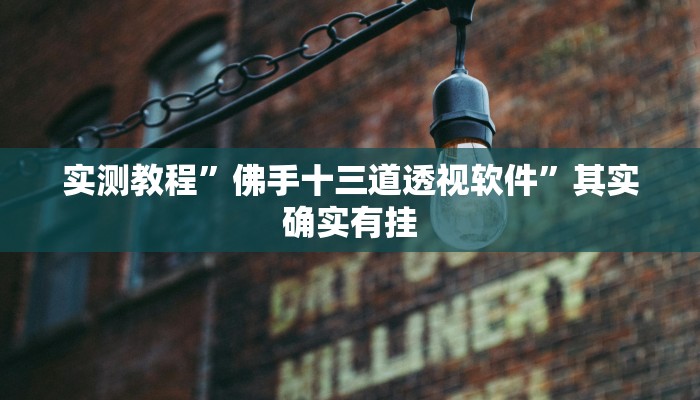 实测教程”佛手十三道透视软件”其实确实有挂
