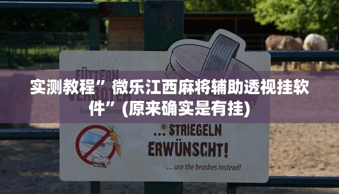 实测教程”微乐江西麻将辅助透视挂软件”(原来确实是有挂)