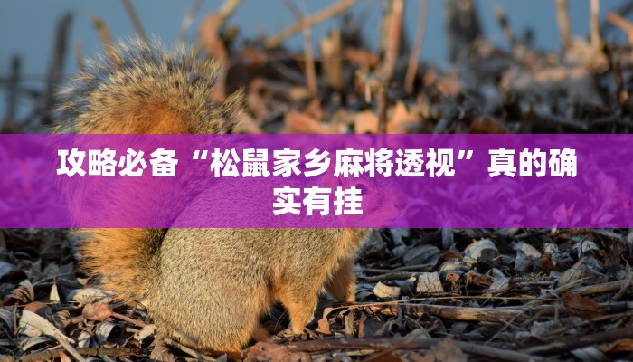 攻略必备“松鼠家乡麻将透视”真的确实有挂