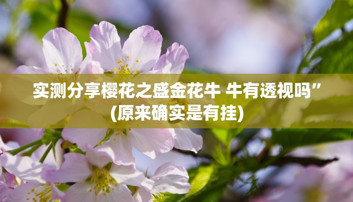 实测分享樱花之盛金花牛 牛有透视吗”(原来确实是有挂)