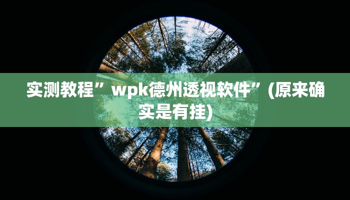 实测教程”wpk德州透视软件”(原来确实是有挂)