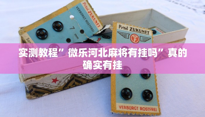 实测教程”微乐河北麻将有挂吗”真的确实有挂